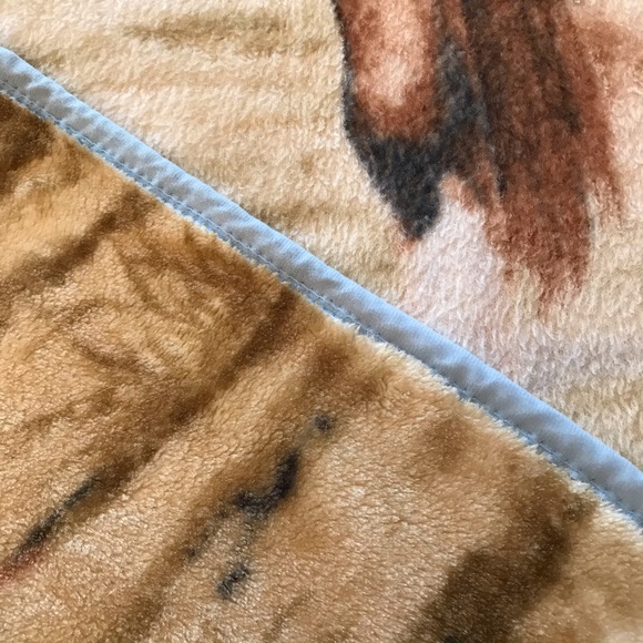 Paisano Plush Blanket Spring Pony Double Sided - Picture 5 of 6